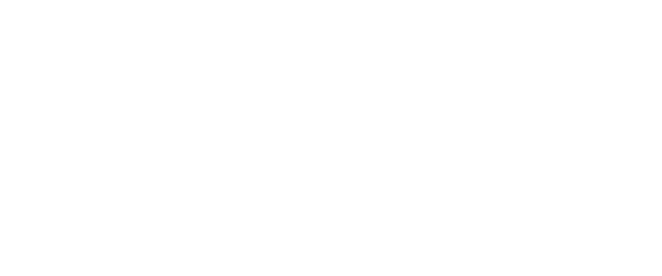 TRANSAVIA